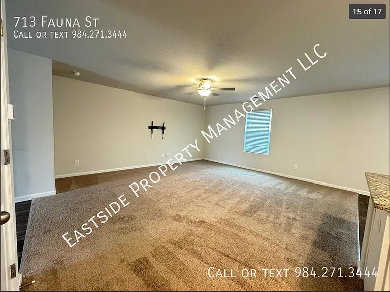 713 Fauna St — Photo 6