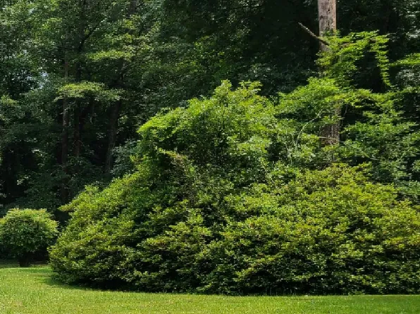 972 Cecil Odie Road, Clinton, NC 28328