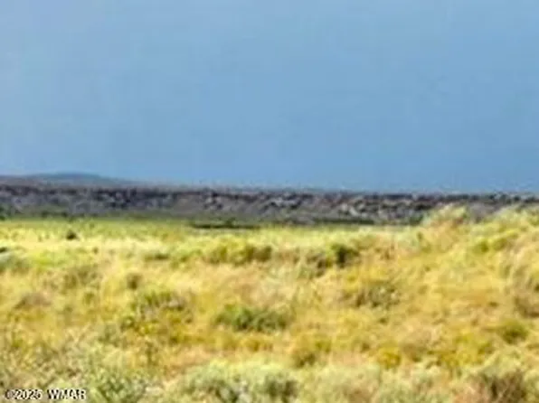 Bell Brand Ranches Lot 29, Sanders, AZ 86512