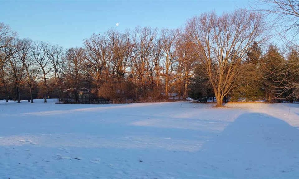 1st image of 1830 Queens Dr