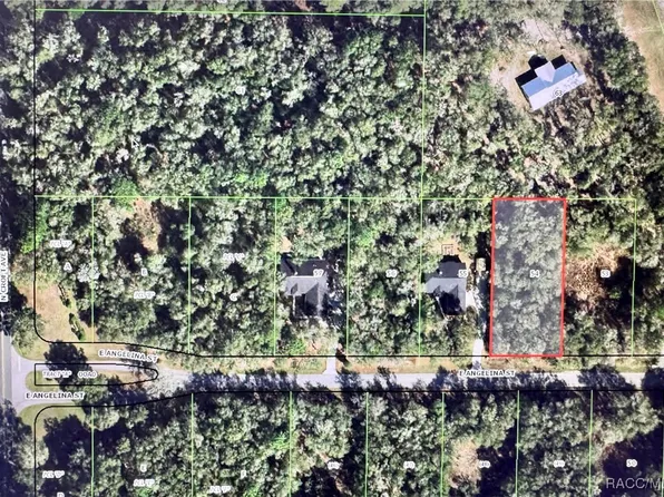 3053 E Angelina St, Inverness, FL 34453
