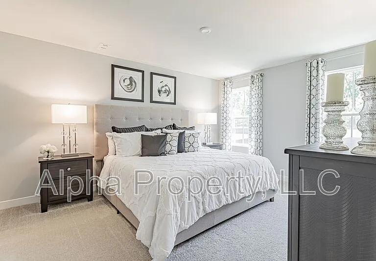 505 Olivia Springs Dr — Photo 16