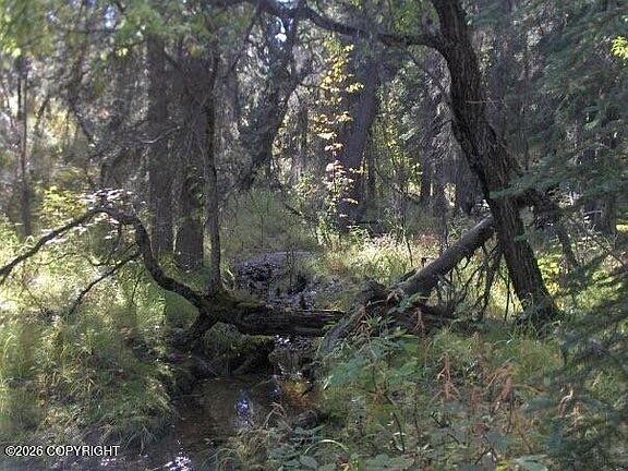 2nd image of 2003-16 East Rd