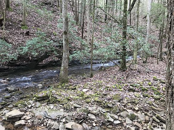 3rd image of 543 Wilderness Way #543