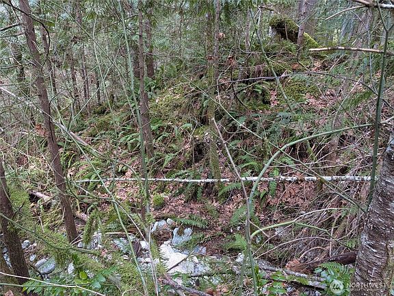 3rd image of 64062 Cascade River RD