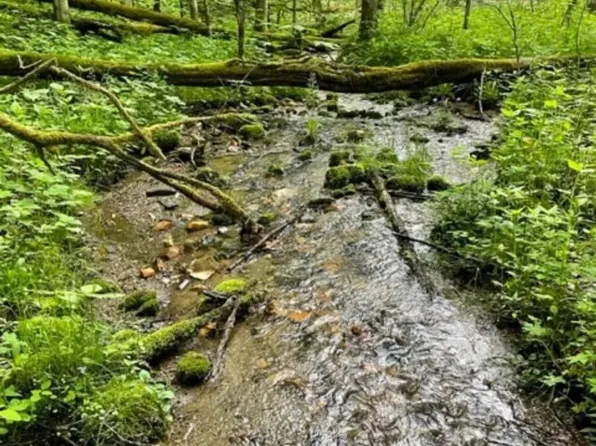 0 River Breeze Dr #7, Creston, NC 28615