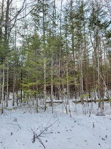 165 Wilderness Dr, Presque Isle, MI, 49777
