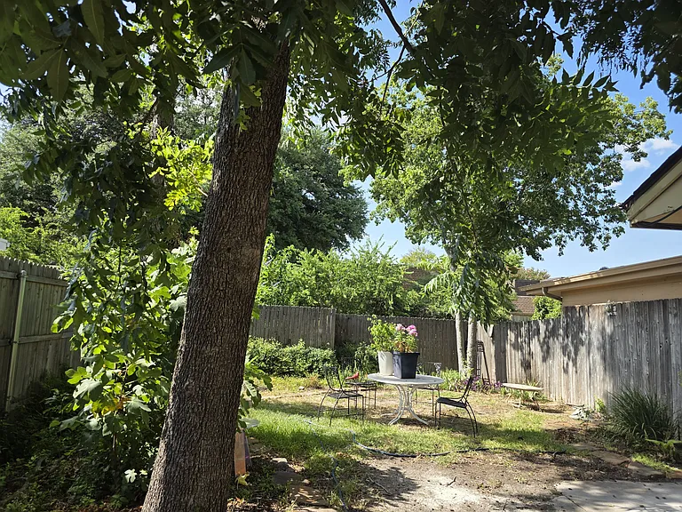 Back yard