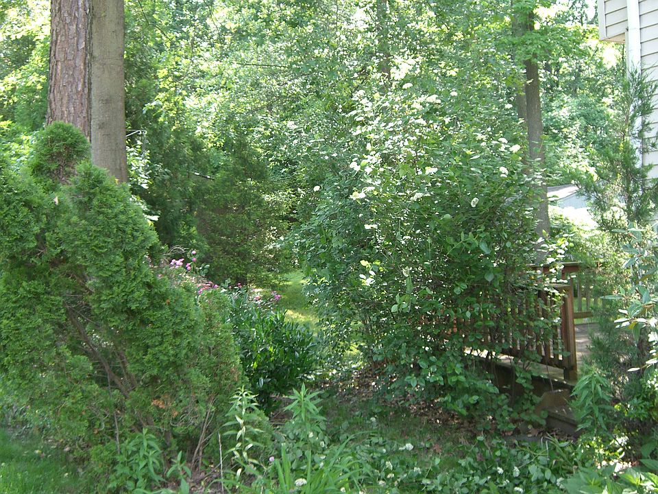2nd image of 49 Tudor Ln