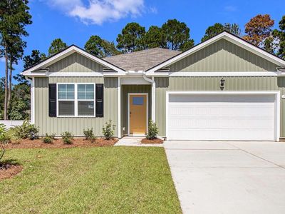 316 Hadley Springs Ave, Longs, SC, 29568