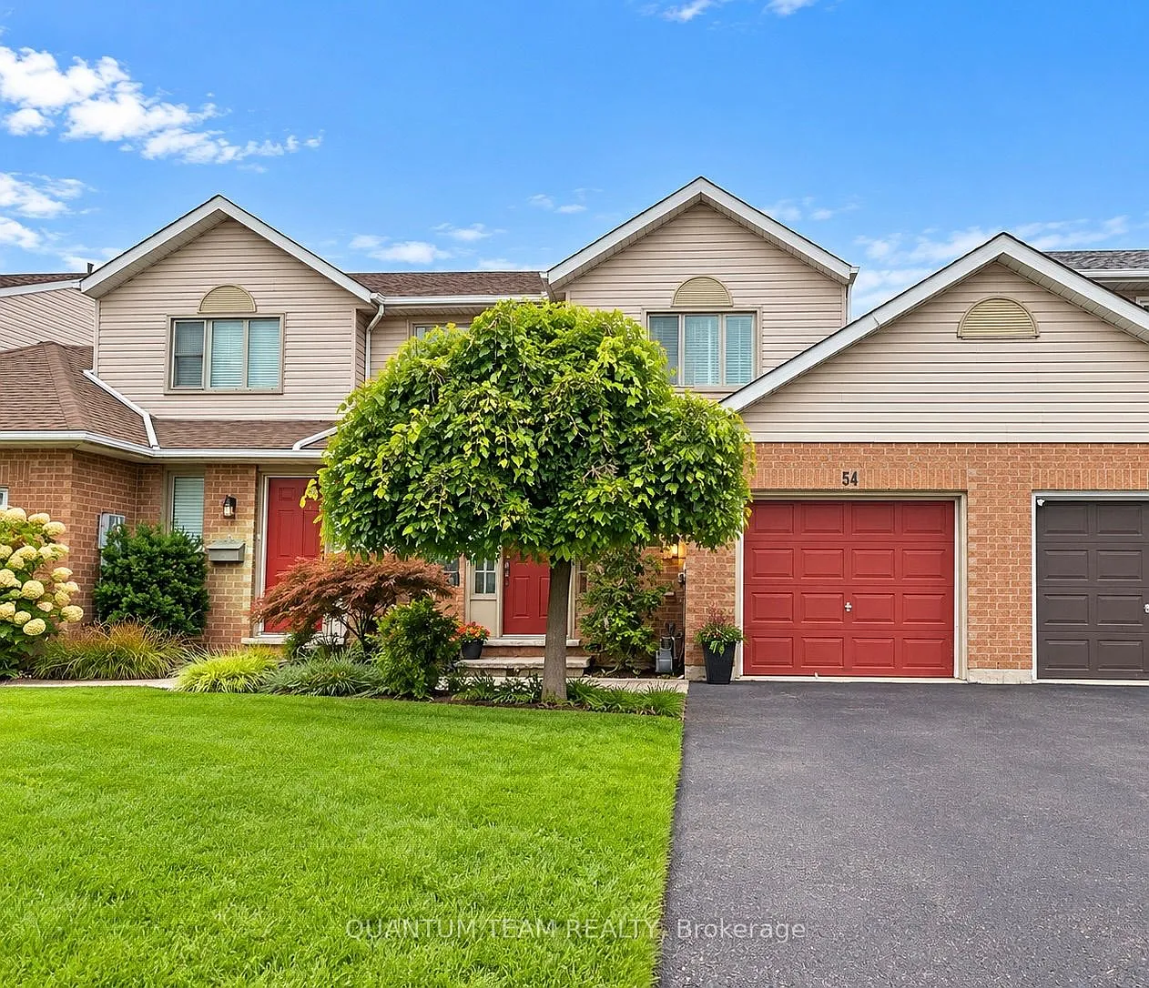 1 bed, $1,200 — Photo 1