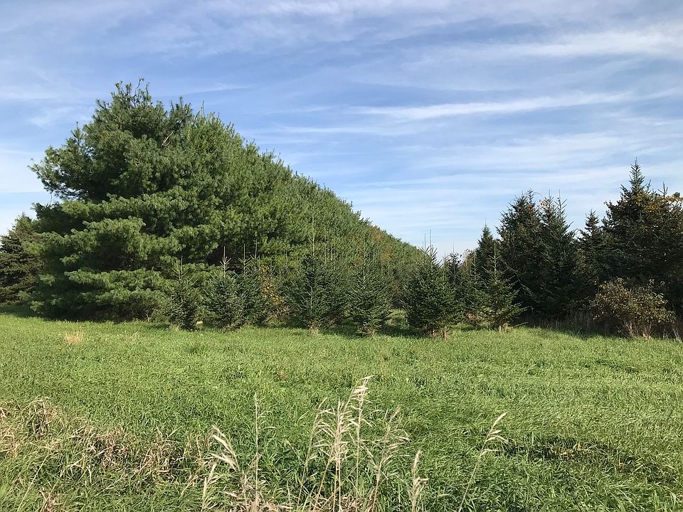 2nd image of Raycraft Rd Lot 018