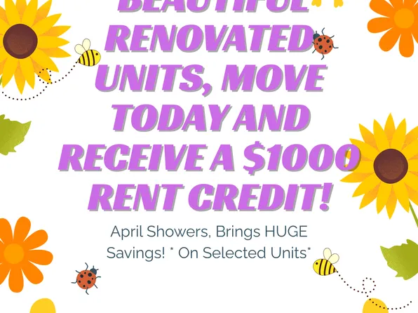 Springs of Country Woods