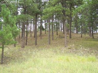 18495 Steeplechase Dr, Peyton, CO 80831