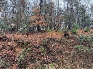 171 Beaver Lake Dr, Ellijay, GA