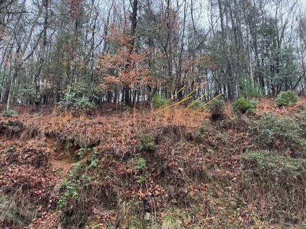 171 Beaver Lake Dr, Ellijay, GA 30540