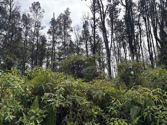 3rd image of Seaview Rd Lot 27