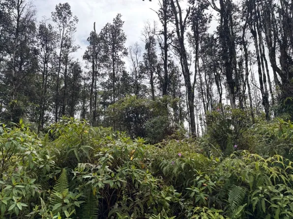 Seaview Rd Lot 27, Pahoa, HI 96778