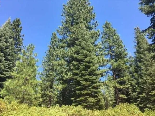 75 Fox Peak Dr, Westwood, CA 96137