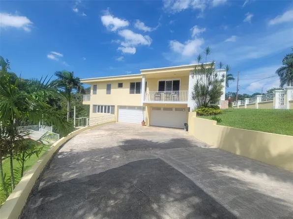 8C Clavel, Dorado, PR 00646
