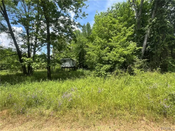 0 Roebuck Landing Rd, Akron, AL 35441