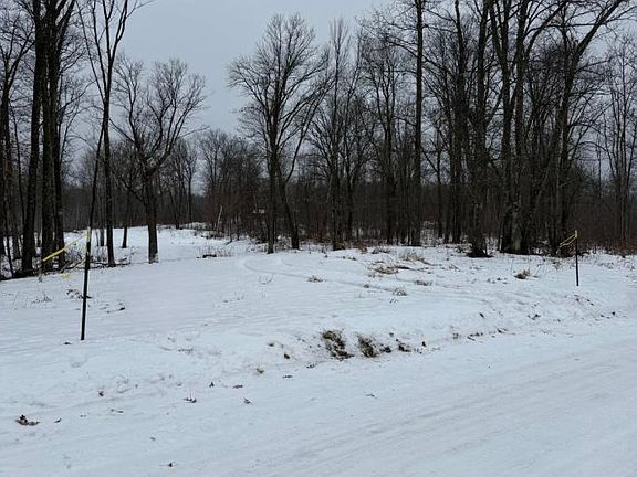 5th image of Kite St