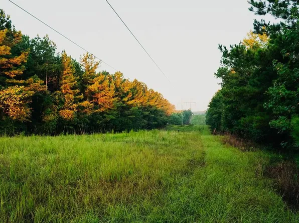 Young Crossing Rd, Noxapater, MS 39346