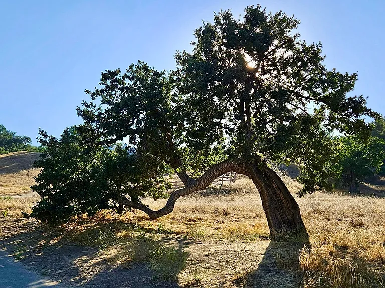 Enjoy scenic flat and hilly walking and hiking trails at Summit Park ideal for outdoor recreation and family fun.