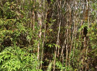 Nene St, Mountain View, HI 96771