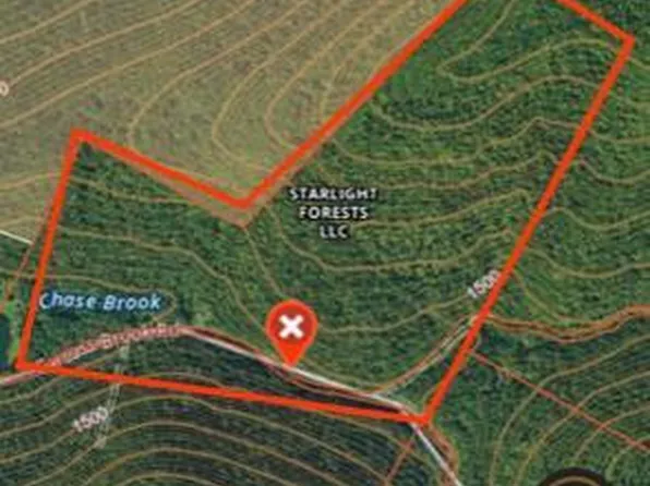 E Chase Brook Rd, Walton, NY 13856