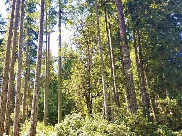 11312 Breaker Way, Anderson Island, WA 98303