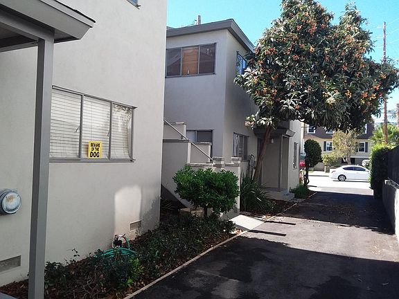 Main Driveway