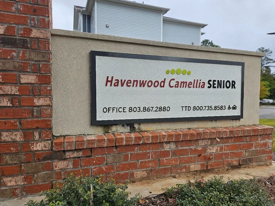 Havenwood Camellia