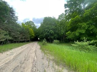 6288 E 22 1/2 Rd, Manton, MI 49663