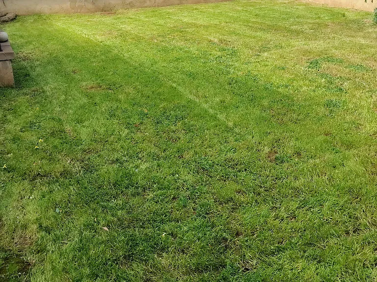 Front yard fenced in