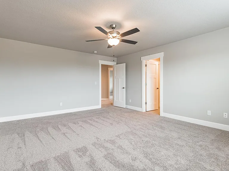 Master Bedroom W/ Master Bathroom entrance