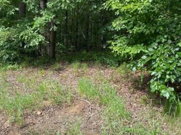 Willow Way Dr #16, Mc Calla, AL 35111