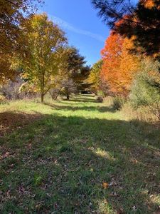 Chippewa Hwy, Bear Lake, MI, 49614