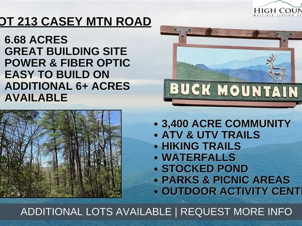 Lot 213 Casey Mountain Road, Purlear, NC 28665