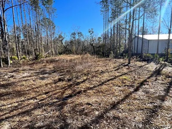  NE Sweetgum Ln, Steinhatchee, FL 32359