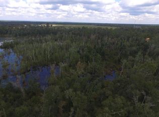 9585 N Silver Lake Rd, Fountain, FL 32438