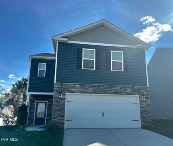 112 Golden Rod Dr, Bluff City, TN, 37618