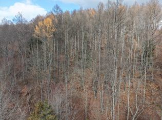 0 Kenyon Hollow Rd, Shinglehouse, PA 16748