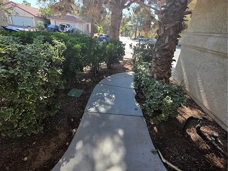 4801 Fiesta Lakes St — Photo 10