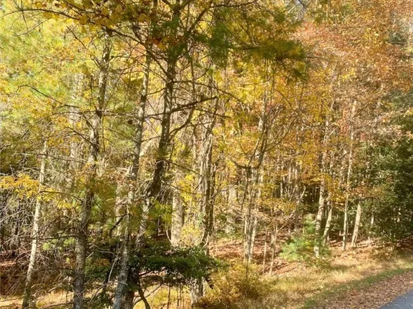 TBD Hollyknoll Road, Glade Valley, NC 28627