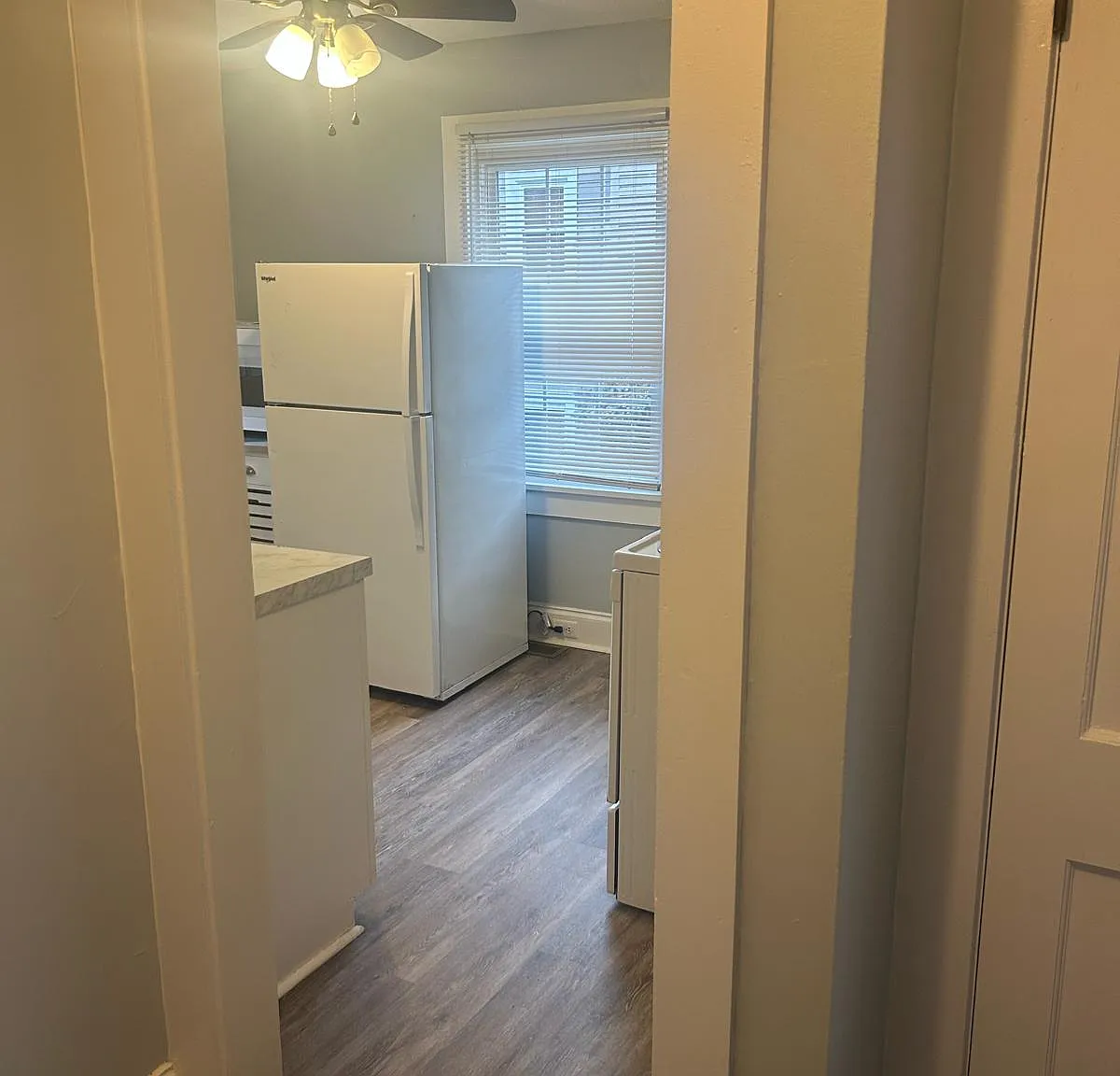 1 bed, 556 sqft, $800 — Photo 4