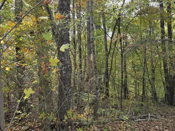 2310 Roseberry Rd, Mascot, TN 37806