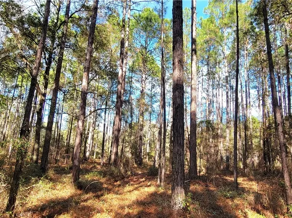 0 Polk Road S, Ellabell, GA 31308