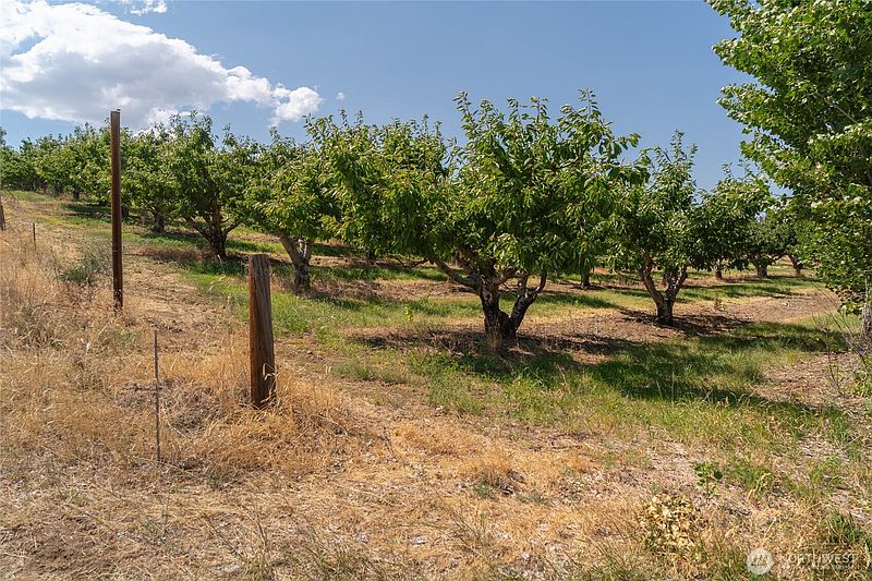 2nd image of 7199 Lot 3 Tarpiscan Road