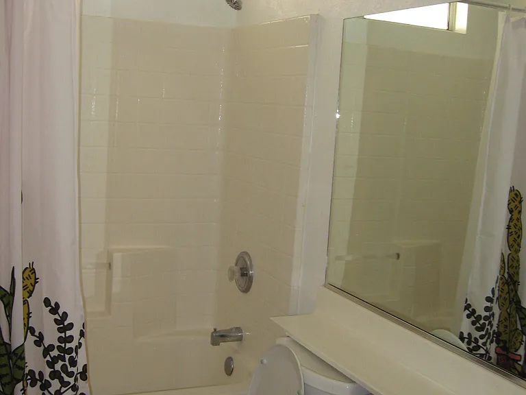 guest bath has shower and tub